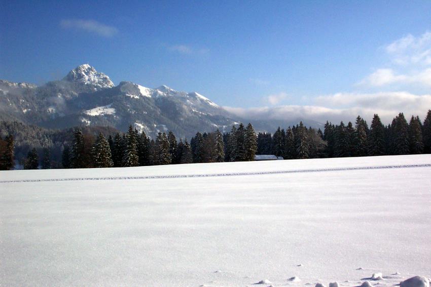 Blick hinber zum Wendelstein. Ski und Rodel gut!