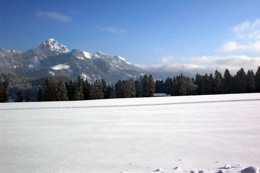 Blick hinber zum Wendelstein. Ski und Rodel gut!