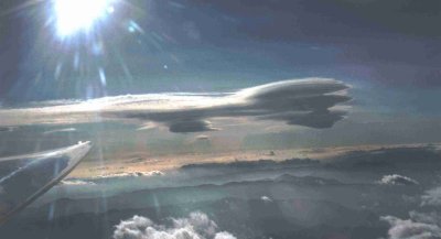 wunderschöne Lentis